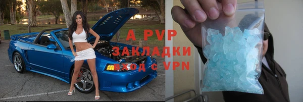 ГАЛЛЮЦИНОГЕННЫЕ ГРИБЫ Гусев
