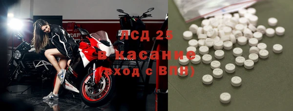 ГАЛЛЮЦИНОГЕННЫЕ ГРИБЫ Аша