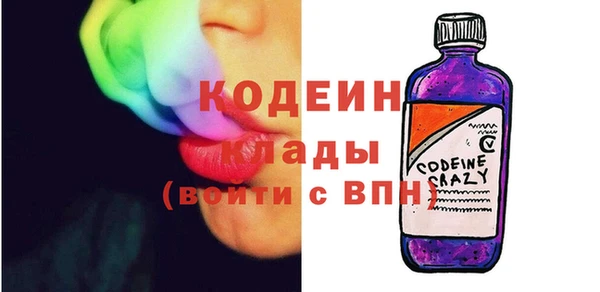 ГАЛЛЮЦИНОГЕННЫЕ ГРИБЫ Гусев