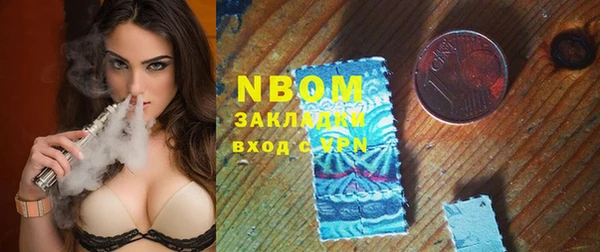 ГАЛЛЮЦИНОГЕННЫЕ ГРИБЫ Гусев