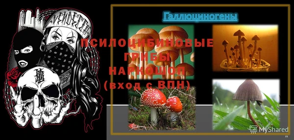 стафф Гусь-Хрустальный
