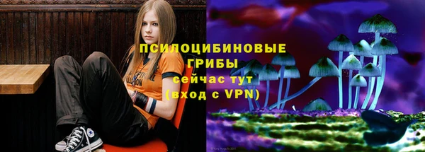 ГАЛЛЮЦИНОГЕННЫЕ ГРИБЫ Гусев