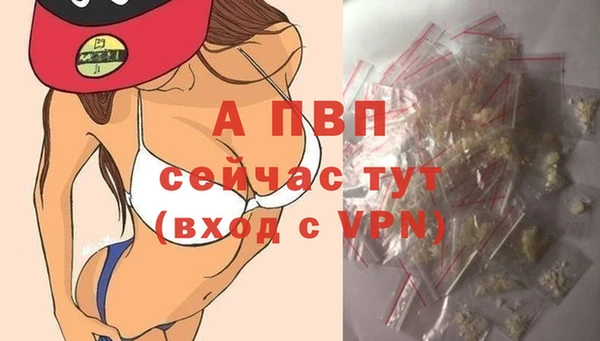 ГАЛЛЮЦИНОГЕННЫЕ ГРИБЫ Гусев