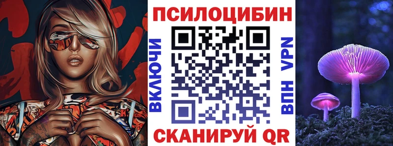 omg сайт  Донецк  Галлюциногенные грибы Cubensis 