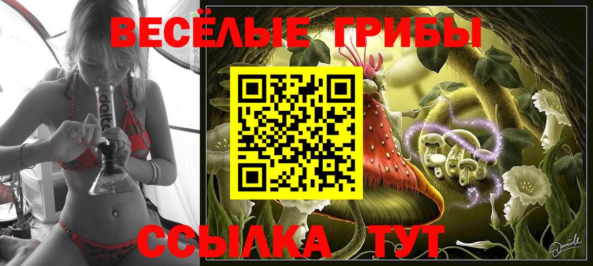 Псилоцибиновые грибы мухоморы  Вход с VPN  Донецк  Псилоцибиновые грибы прущие грибы 
