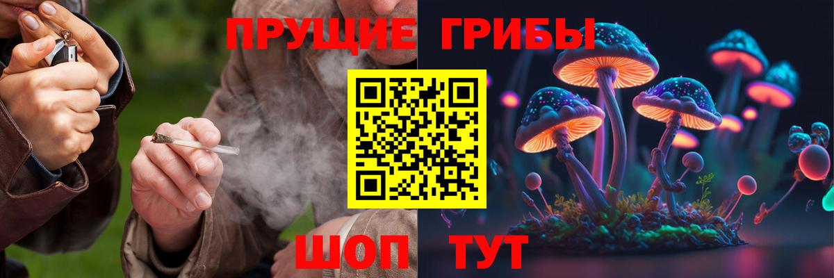 Галлюциногенные грибы мицелий  Донецк 